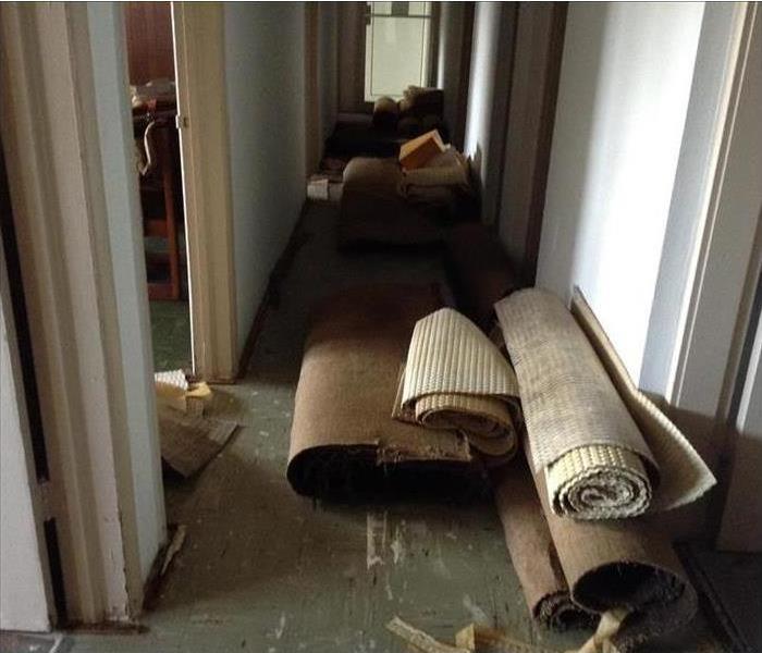 Water Damage with Carpet Removal in Miami, FL