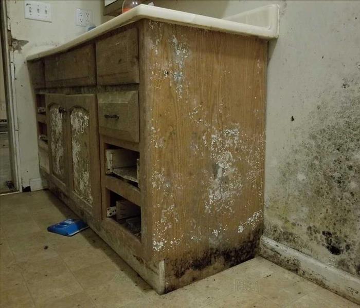 How much does SERVPRO charge for mold inspection?