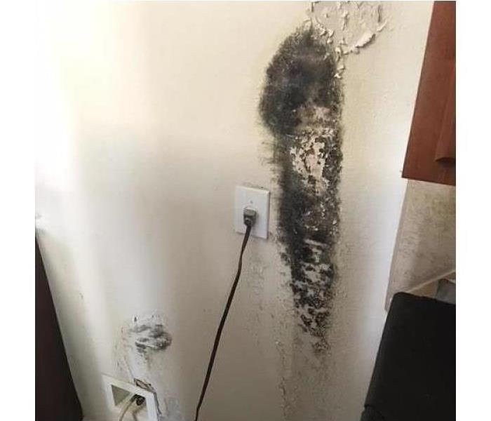 Can you stay in your house during mold remediation?