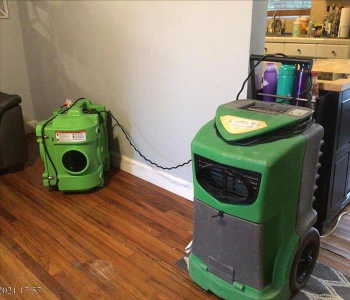 SERVPRO equipment in HOLLYWOOD home due to mold remediation