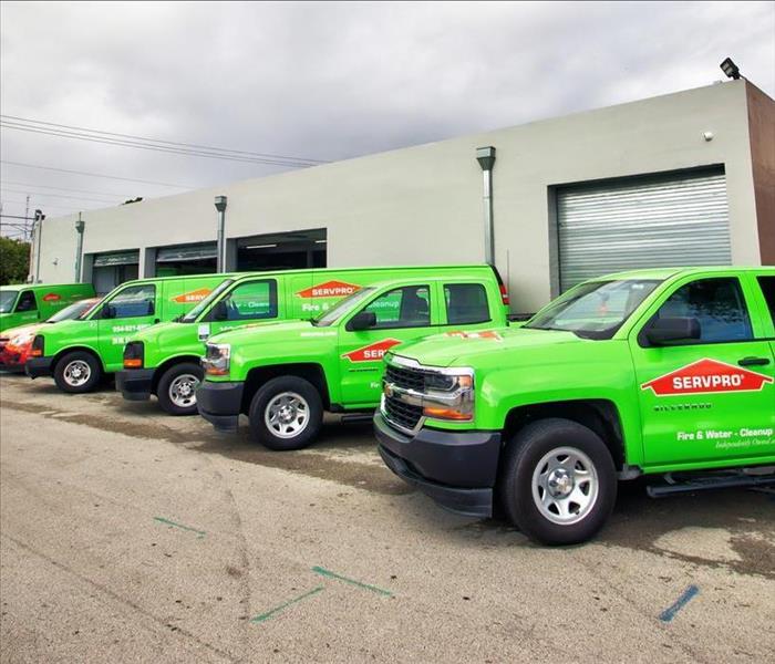 Green SERVPRO trucks lined up outside of a facility. 