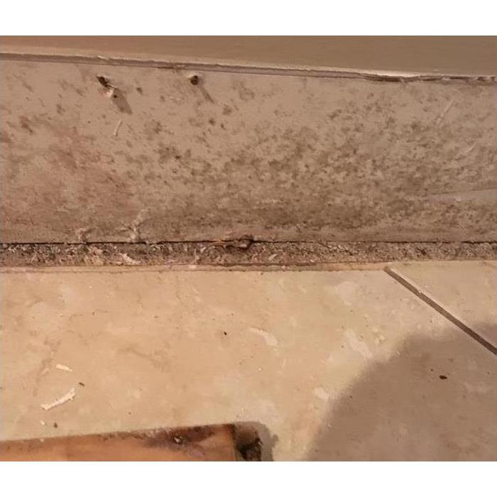Mold found behind baseboard.