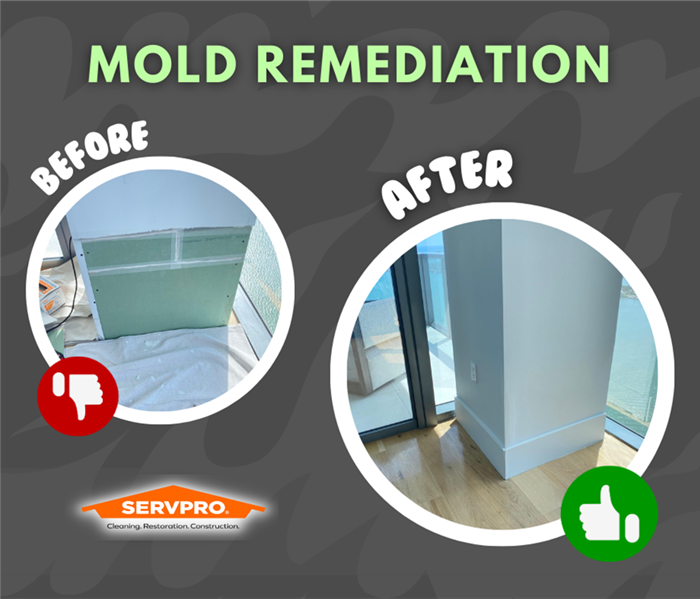  before and after picture of MOLD REMEDIATION project
